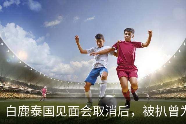 白鹿泰国见面会取消后，被扒曾为缅北拍宣传片，知情人爆更多内幕