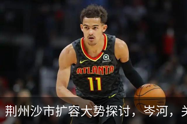荆州沙市扩容大势探讨，岑河，关沮，立新外围，三地潜力分析